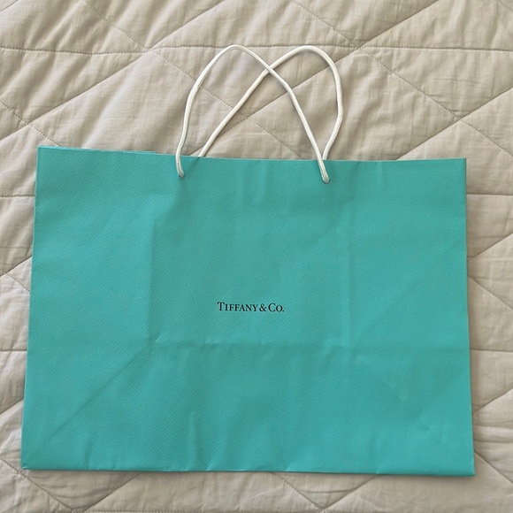 Tiffany & Company Shopping Gift Bag tote - Picture 2 of 16